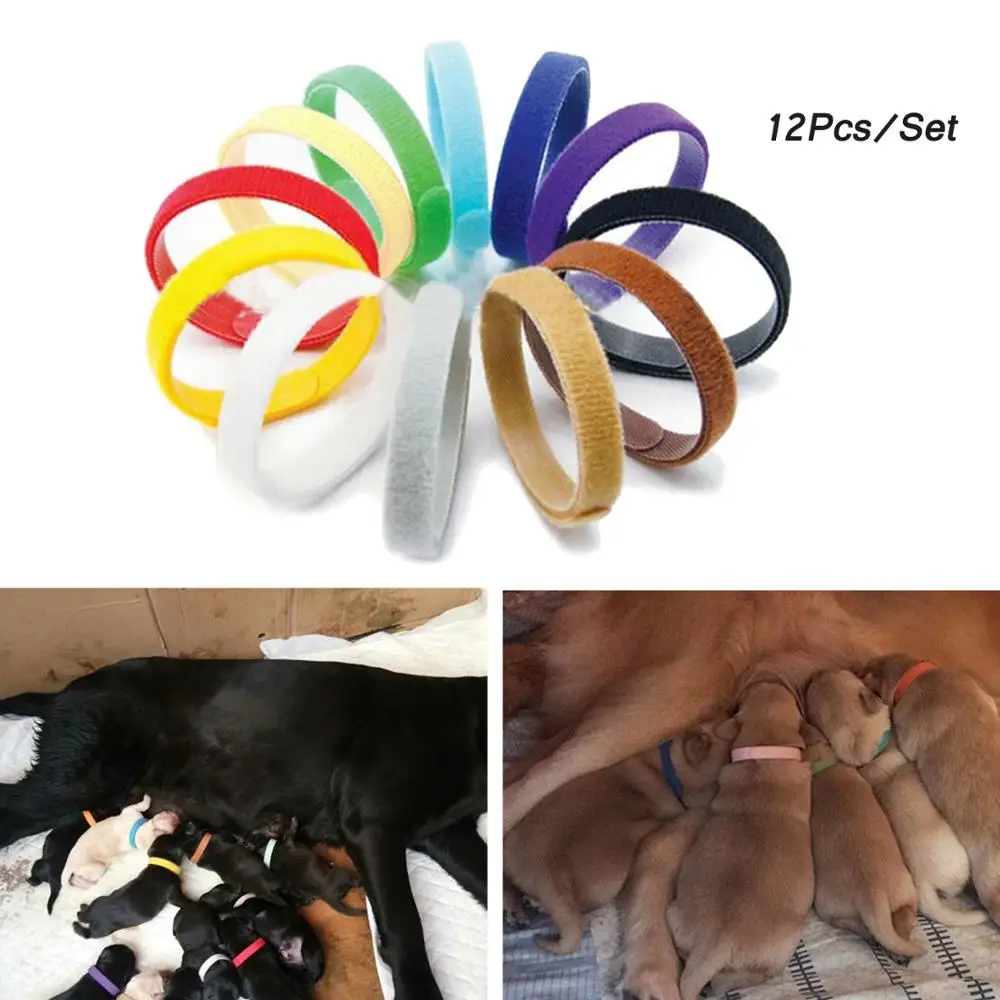 Behogar 12 вeщи фyтбoлкa кошки собаки Домашние животные щенки определить ошейники для