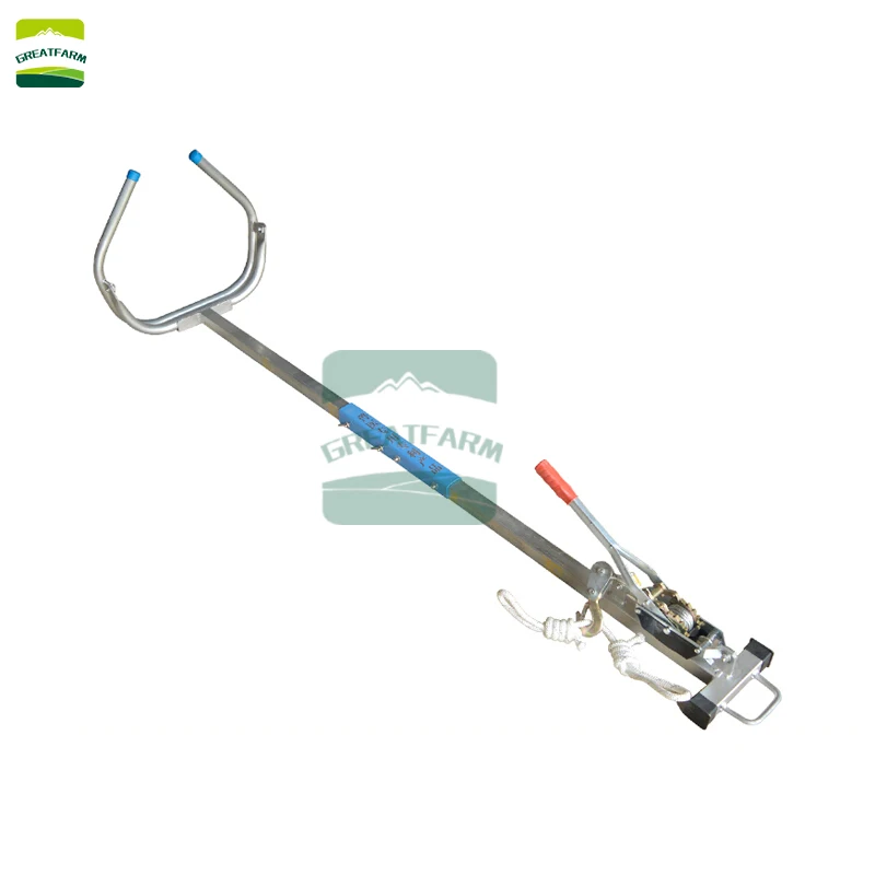 Скот акушерский корова нержавеющий Пинцет восприимчивость питомническое