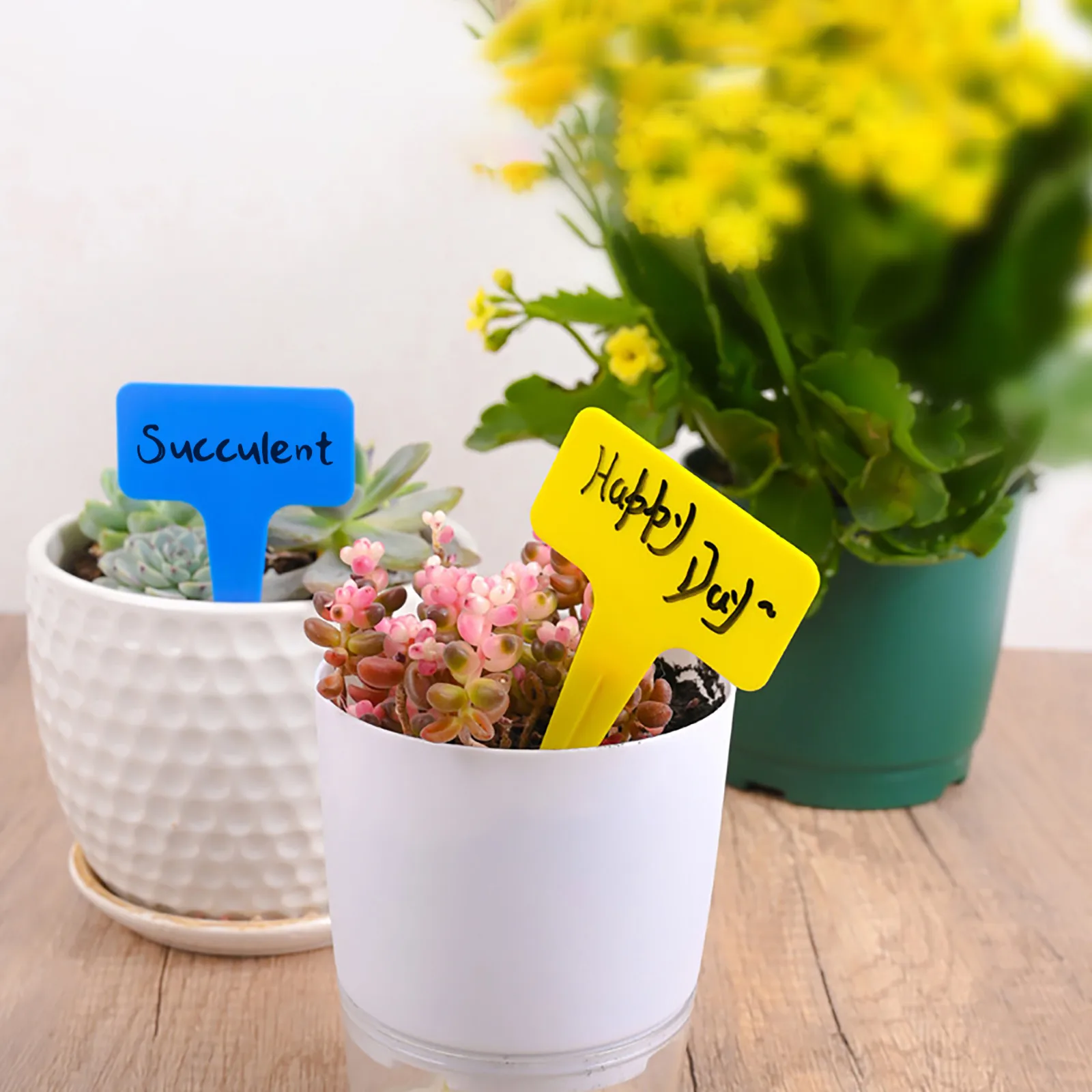 

Vegetable Garden Flower Inserting Ground Card Gardening Label Plant Name Waterproof Sign Plate For Garden jardinage potager