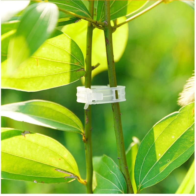 

50/100/500/1000pcs Reusable Plant Support Garden Clips for Vines Vegetables Tomatoes Garden Greenhouse H88F