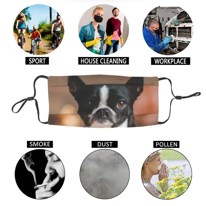 

Boston Terrier Reusable Face Mask Unisex Puppy Dog Anti Haze Dustproof Protection Cover Respirator Mouth-Muffle
