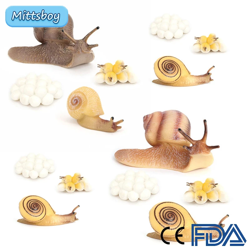 Hot DIY Growth Cycle Reptiles Snails PVC Actions Models Toy Figures Statics Model Educational toys  for Children Ornaments Gifts