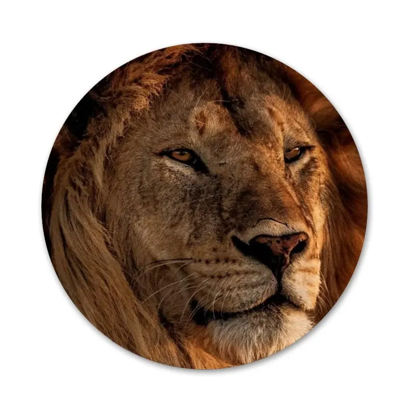 

Lion Animal Badge Brooch Pin Accessories For Clothes Backpack Decoration gift