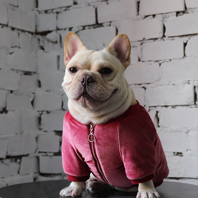 Зимнее пальто для собаки в виде мопса во французском стиле куртка одежда пуделя