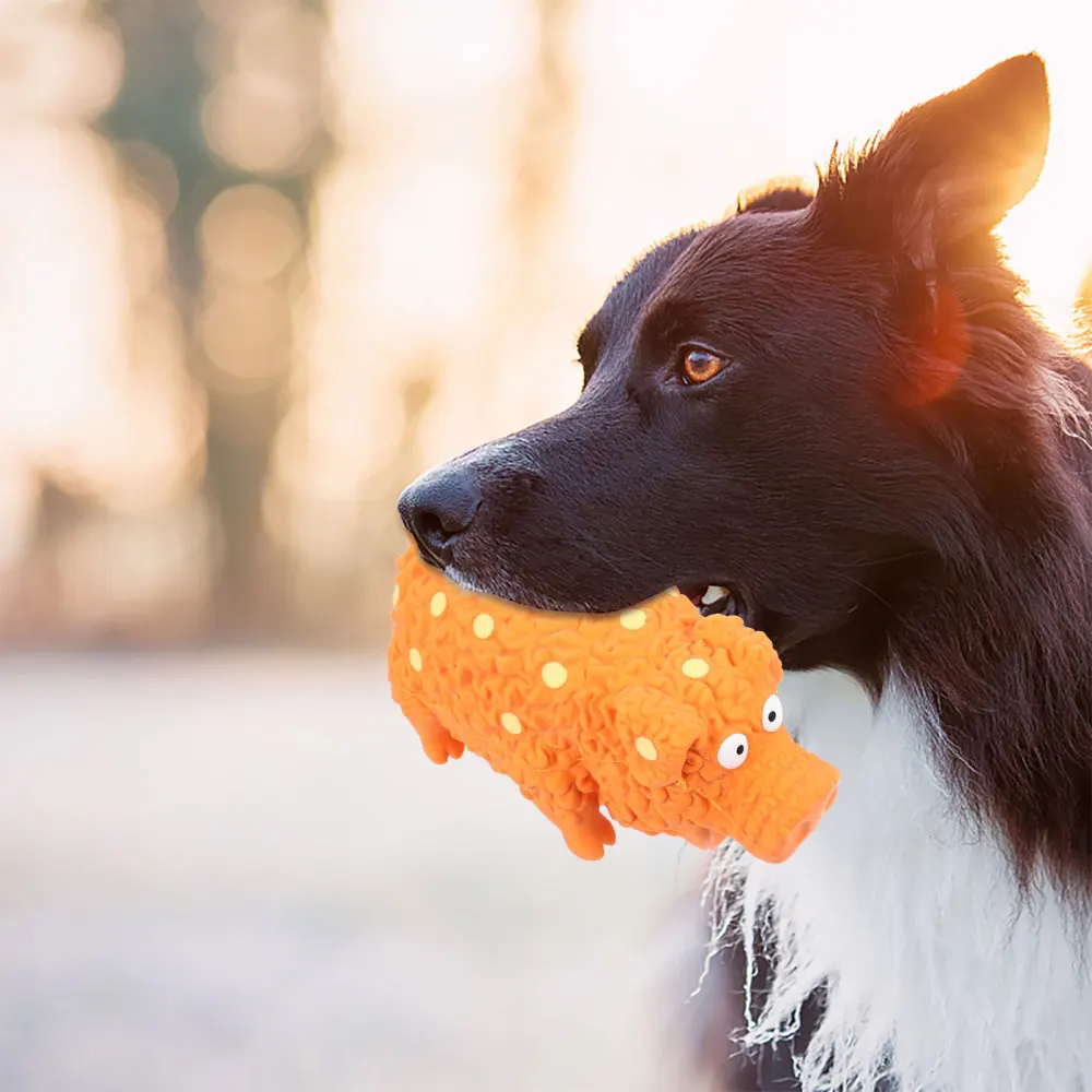 

2pcs Squeaky Dog Toys Latex Interactive Funny Lovely Dog Set