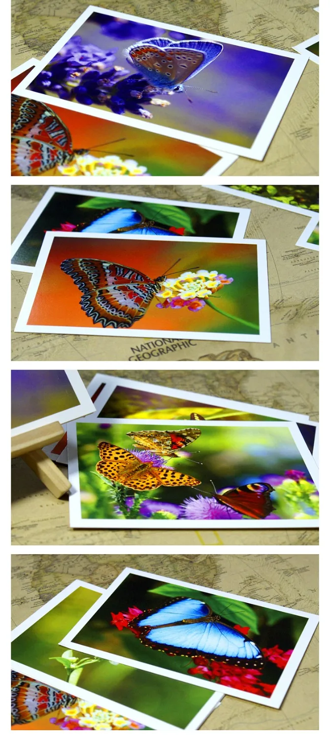 Животный мир животные открытки с изображением бабочек/коллекция карт