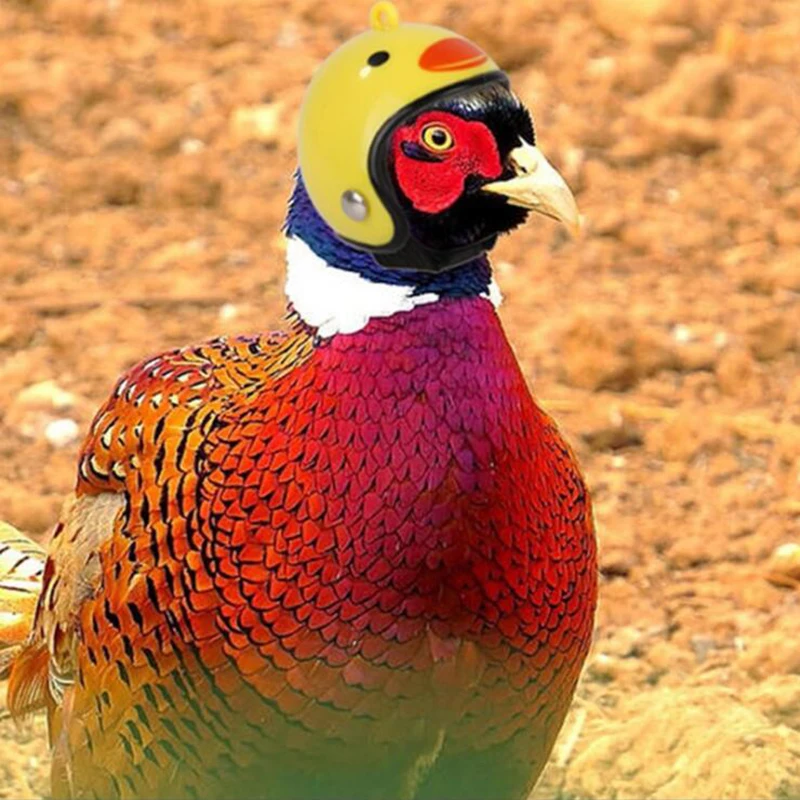 

Printing Chicken Helmet Cap Funny Cute Bird Hens Toy Cap Decorative Grooming Sunscreen Costumes Protecting Small Pet Supplies