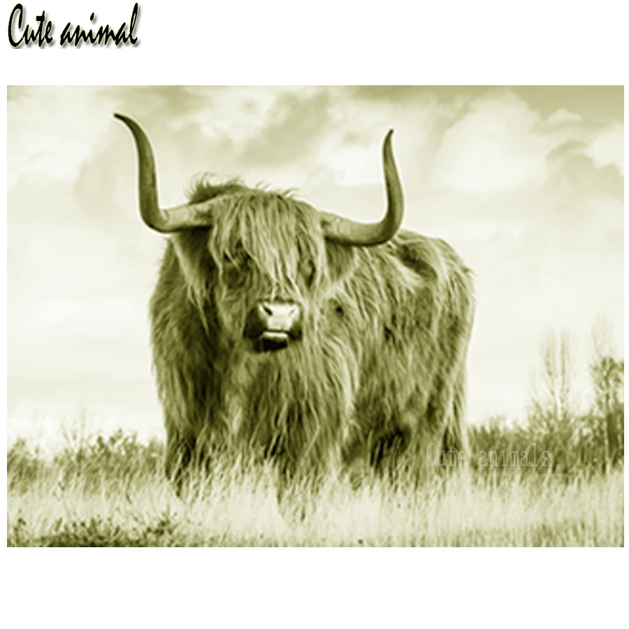 

Full Square Round Drill Highland cattle animal 5D DIY Diamond Painting Diamond Embroidery Cross Stitch Kit diy Diamond Mosaic