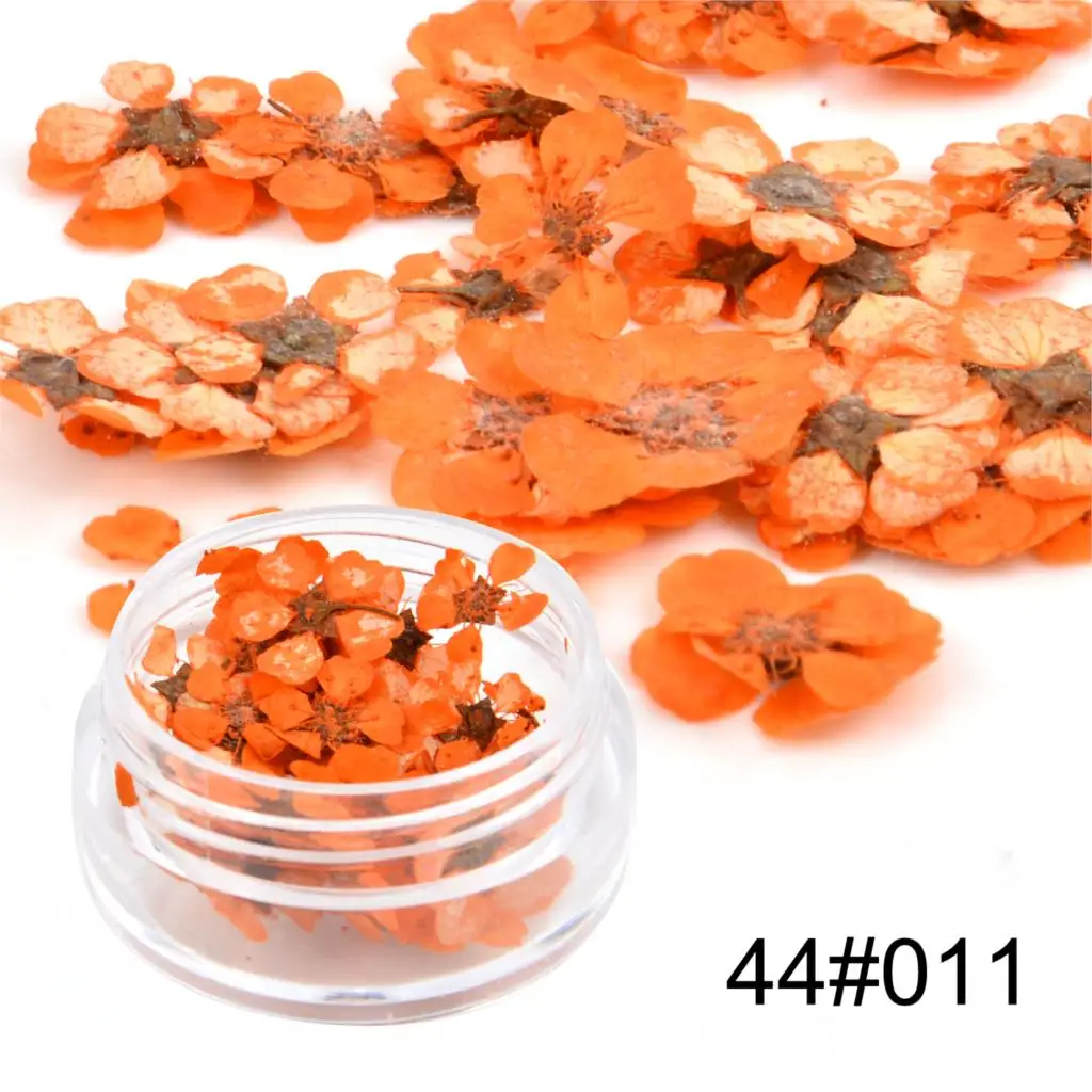 

1PC Dried Flowers Nail Art Decoration Natural Dry Floral Leaf DIY Sticker Beauty Jewelry Tips Colorful Nail Gel Ornaments