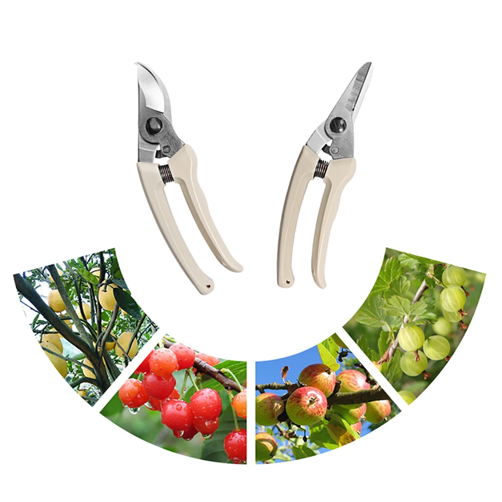 

Stainless Steel Garden Scissors Plants Fruit Tree Pruning Shears Grafting Tool Flower Bonsai Pruner Gardening Secateurs Scissor