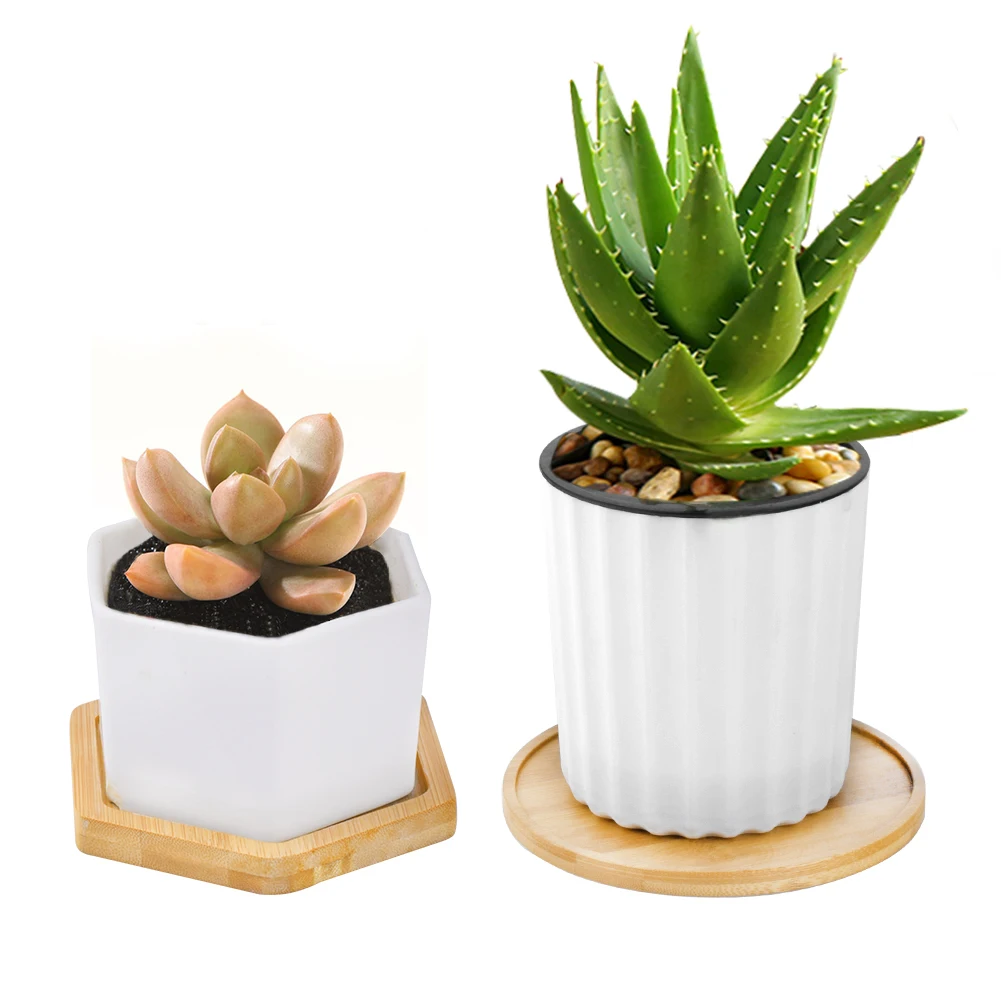 6 шт. горшок для растений деревянные палочки еды одноразовые стенд Крытый плиты