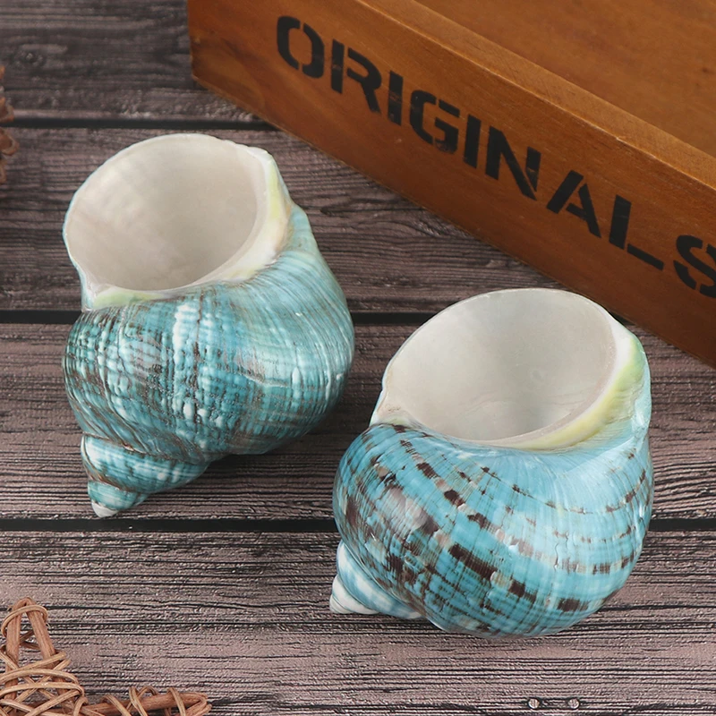 Натуральный ракушка морской раковины Улитка аквариум украшения рулон моллюсков