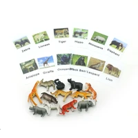 montessori educational cards for kids pvc safari animal matching cards educational toys for children juguetes motnessori ye2264h