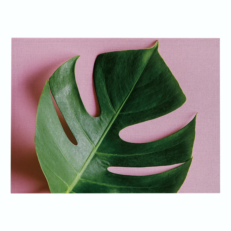 Modern minimalist style cotton linen waterproof placemat plant printing kitchen table mat heat-insulated | Дом и сад