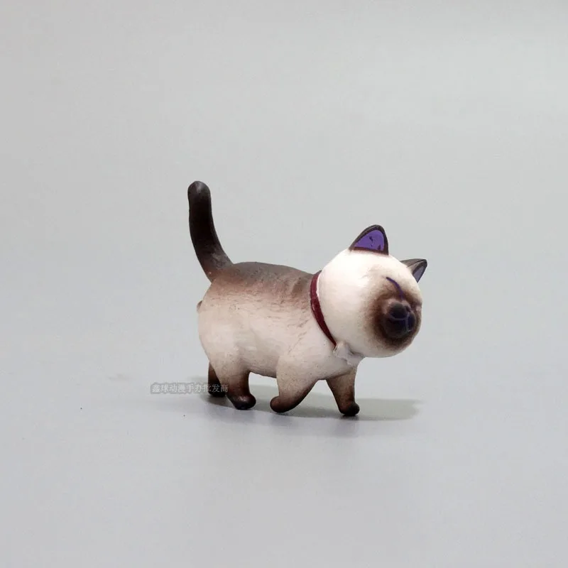 

9 Cute Cats Cartoon Animal Simulation Hand Office Aberdeen Head Can Be Turned 360 Degrees Model Desktop Decoration