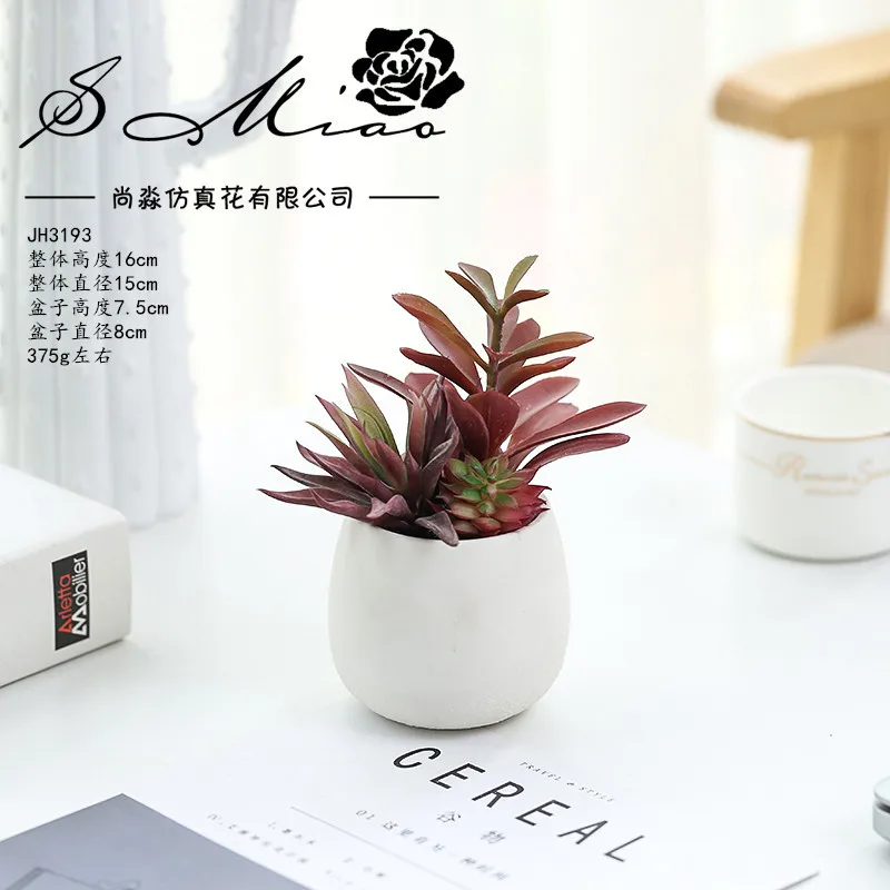 

Artificial Simulation Succulent Plants Ceramic Pot Creative Home Interior Decoration Green Plant Bonsai