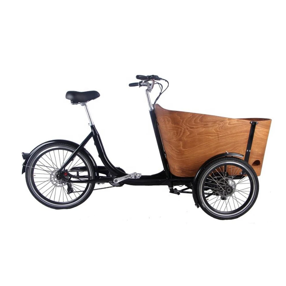 Electric 3 Wheel Cargo Tricycle With Small Box Family Cargo Bike With Hydraulic Disc Brake Power Assist