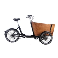 250w electric adult tricycle cargo bike 67 gear speeds peadel 3 wheels bicycle for carrying children passenger