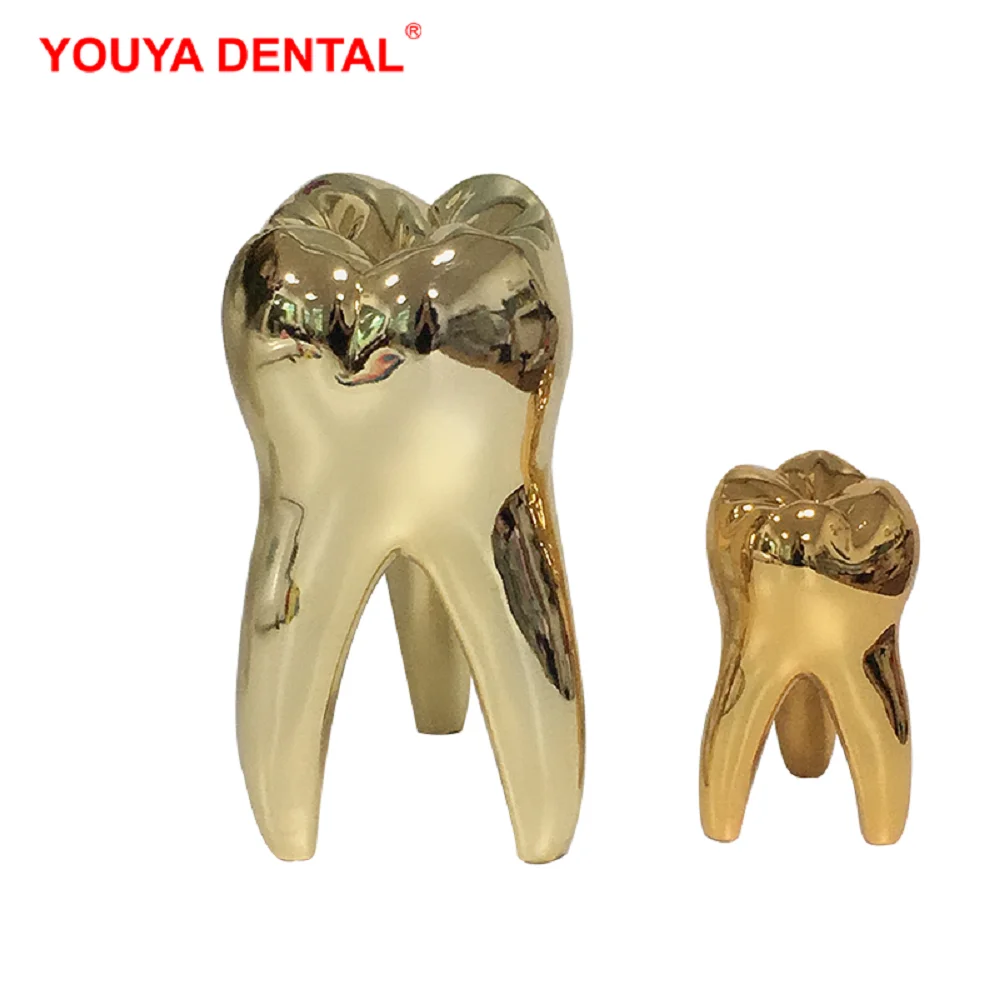 Dentistry Decoration Large Molar Big Golden Tooth Model Figurines Ornament Dental Dentist Gift   Clinic Office Desktop Sculpture