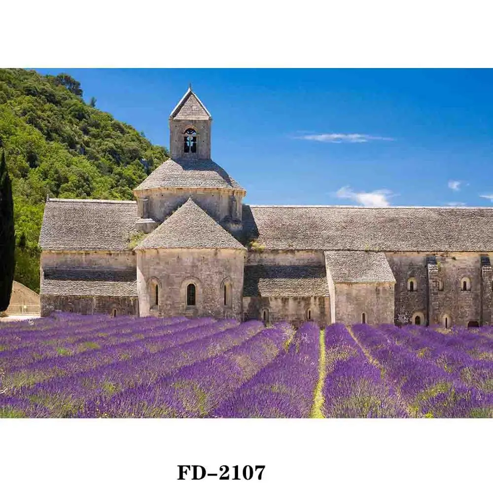 

Vinyl Custom Photography Backdrops scenery Theme Photography Background NY1FD-18