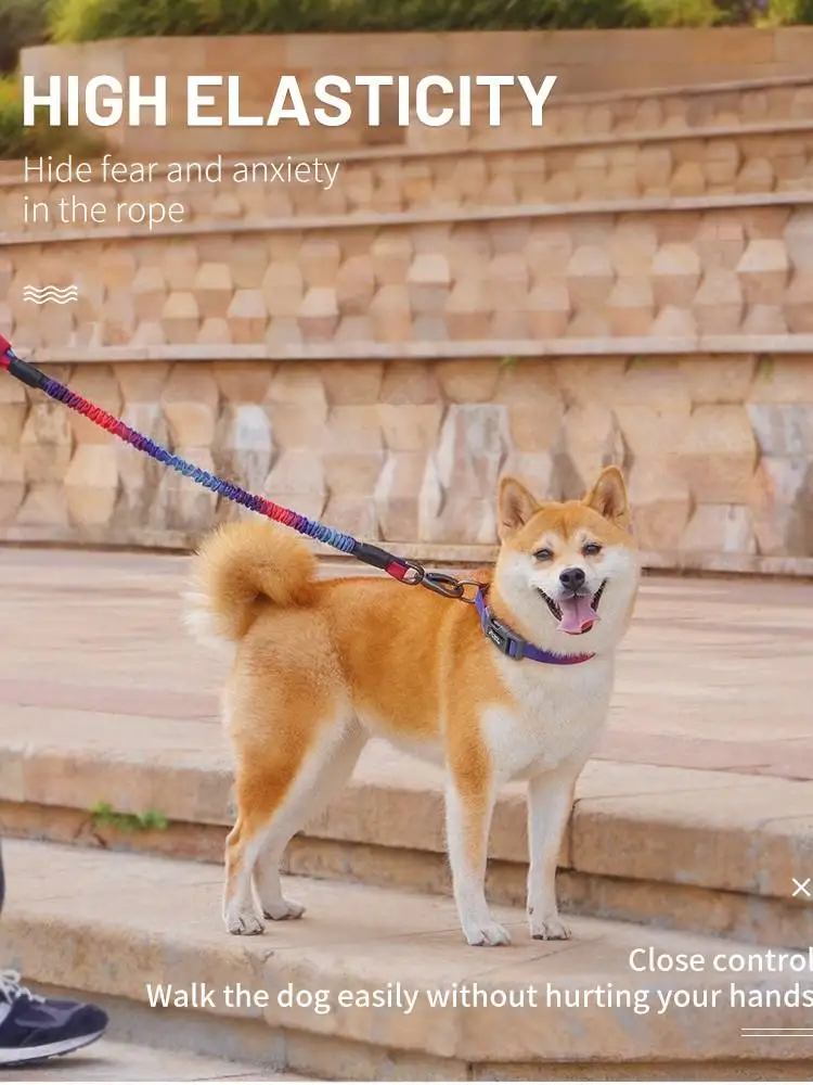 

Leashes Dog Harness and Leash Set Dog Harness Dogs Pets Accessories Dog Accessories Dog Leash Dog Supplies Bungee Cord