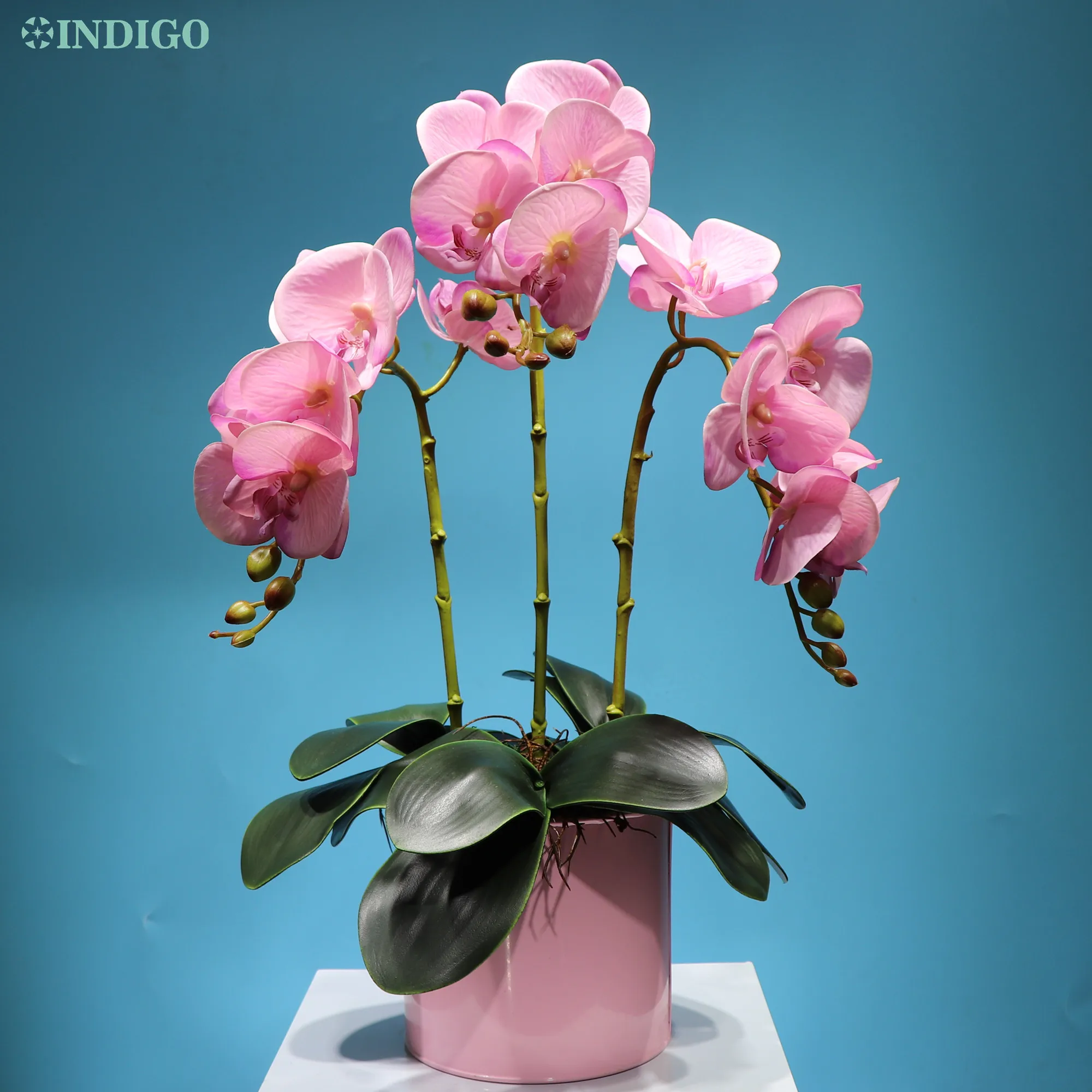 Индиго розовый фаленопсис Бабочки Орхидеи 3D печать лепестки Настоящее