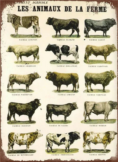 

Metal Tin Sign les animaux de la ferme Decor Bar Pub Home Vintage Retro