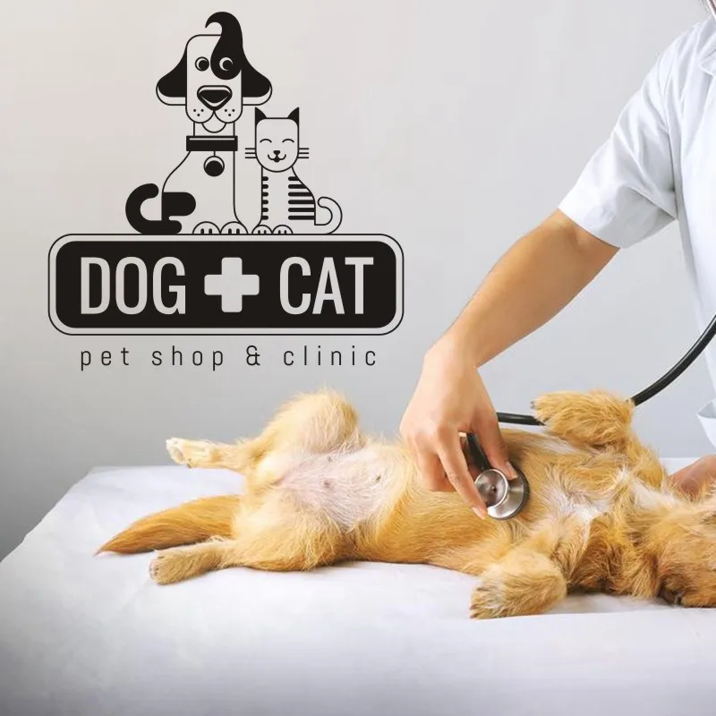 Переводная картинка для салона ухода за домашними животными стикеры плакаты