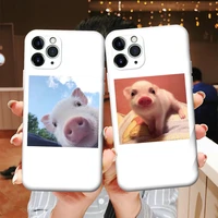 animal cute pig white phone cases for iphone 6 s 7 8 plus x xs xr 11 12 13 pro max mini silicone protective sleeve