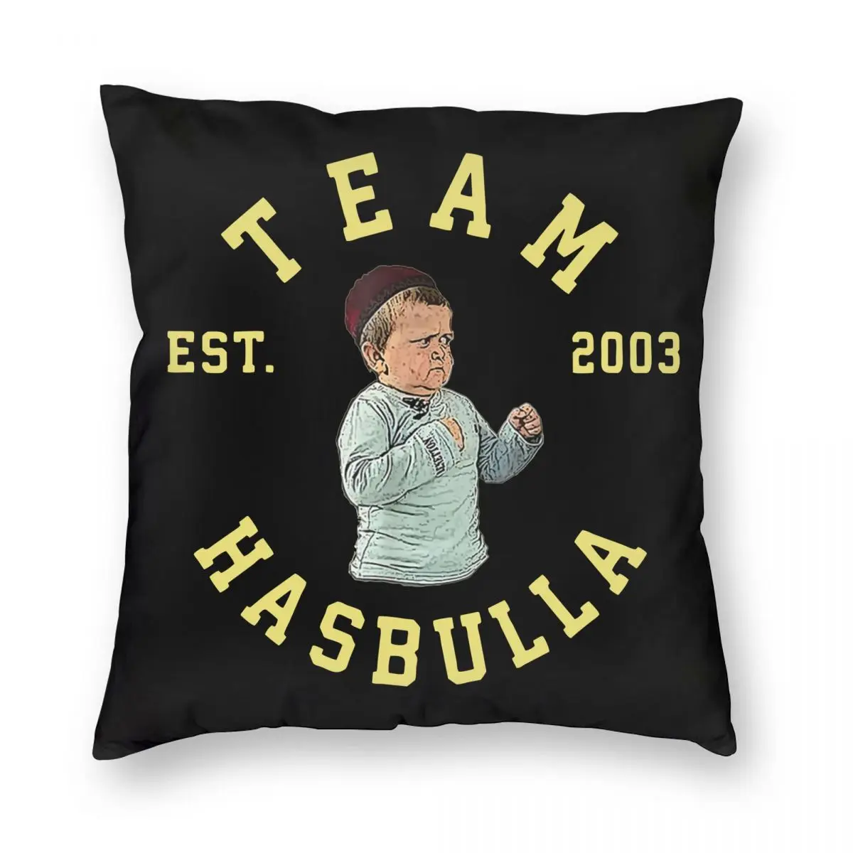 

Team MMA Hasbulla Fight Pillowcase Printed Polyester Cushion Cover Decoration Magomedov Khabib Throw Pillow Case Cover 40*40cm