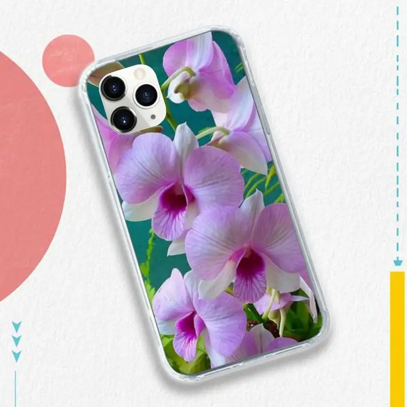 

beautiful Orchid Flowers Phone Case for iPhone 11 12 pro XS MAX 8 7 6 6S Plus X 5S SE 2020 XR