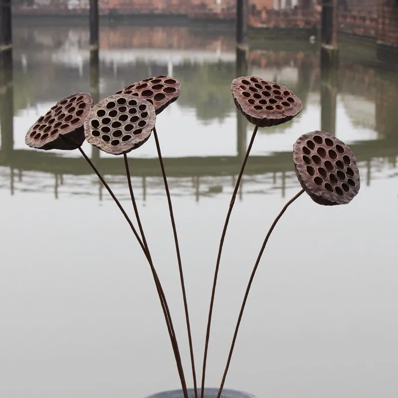 

1PCS 50cm Natural DIY Hibiscus Lotus Dried Flower Wedding Decoration For Home Party Office Decorative Handmade Preserved Flores