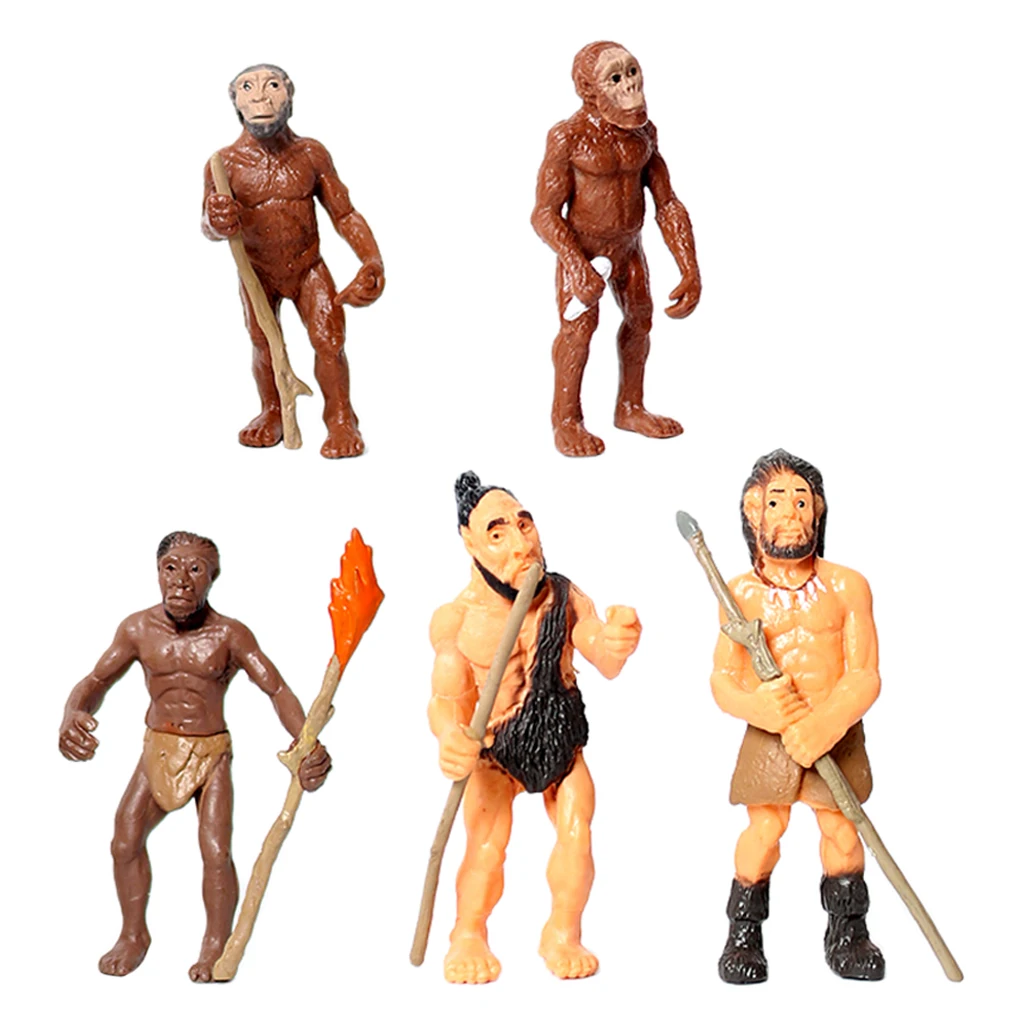 

Human Action Figure Toy Collection Kids Science Cognitive Office