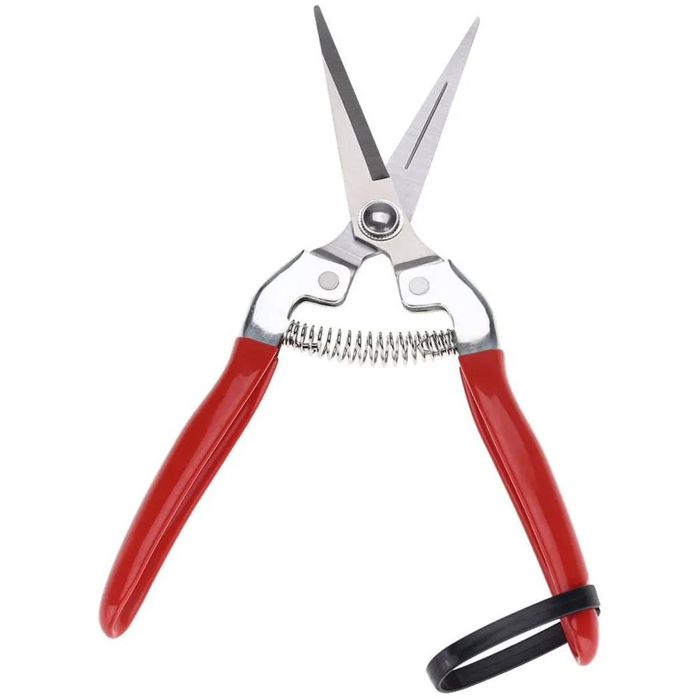 Садовые инструменты Drtools ножницы для обрезки фруктов ручка из нержавеющей стали