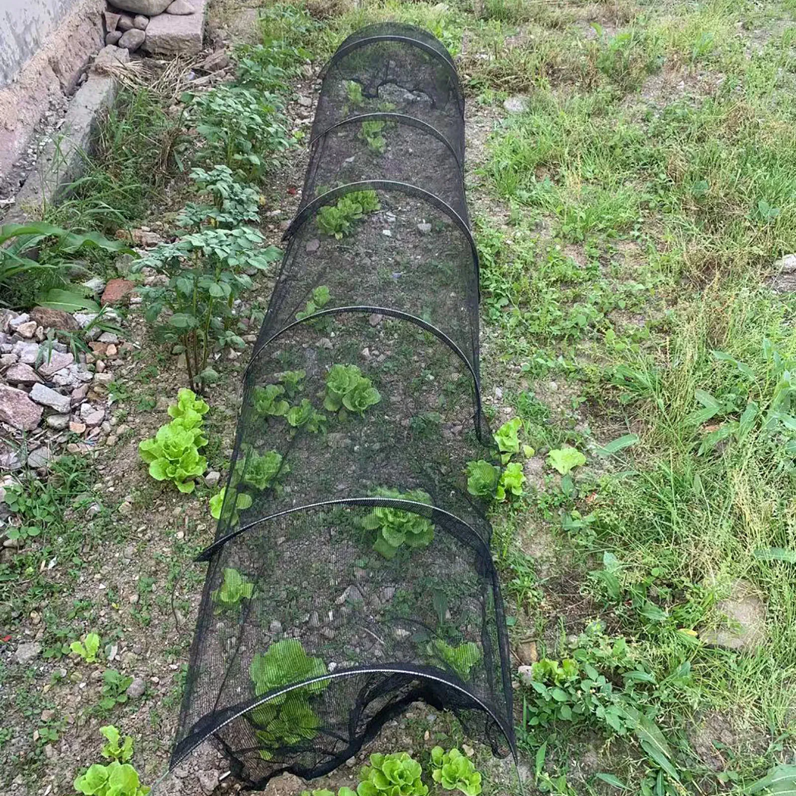 

300x45x45cm Garden Vegetable Insect Net Cover Plant Net Plant Protection Network Plant Flower Care Protection Network 2021