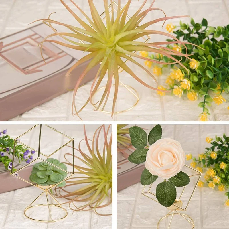 

8 Pack Air Plant Holder Tillandsia Air Plants Stand Hanging Containers Display Racks for Gift Idea