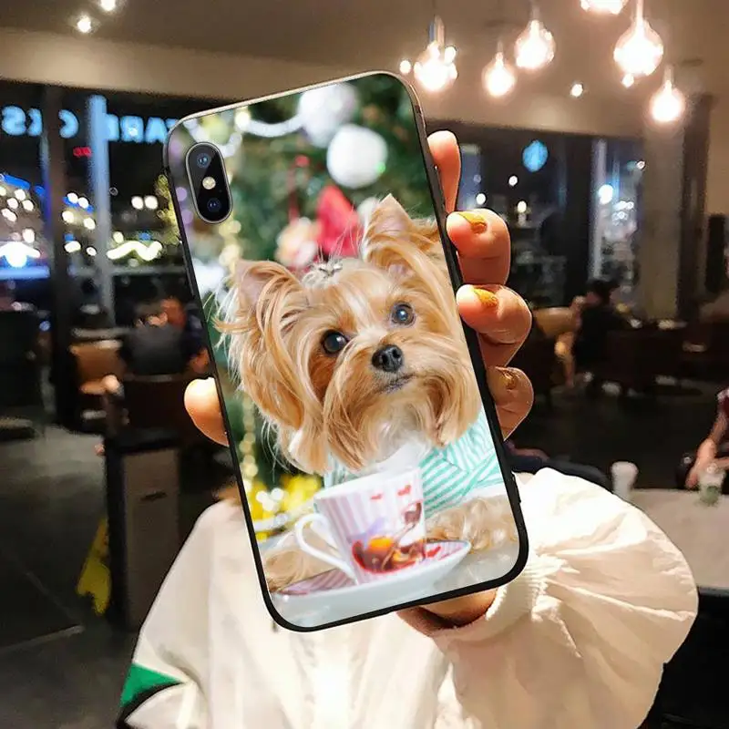 

yorkshire terrier dog Phone Case for iPhone 11 12 pro MINI XS MAX 8 7 6 6S Plus X 5S SE 2020 XR