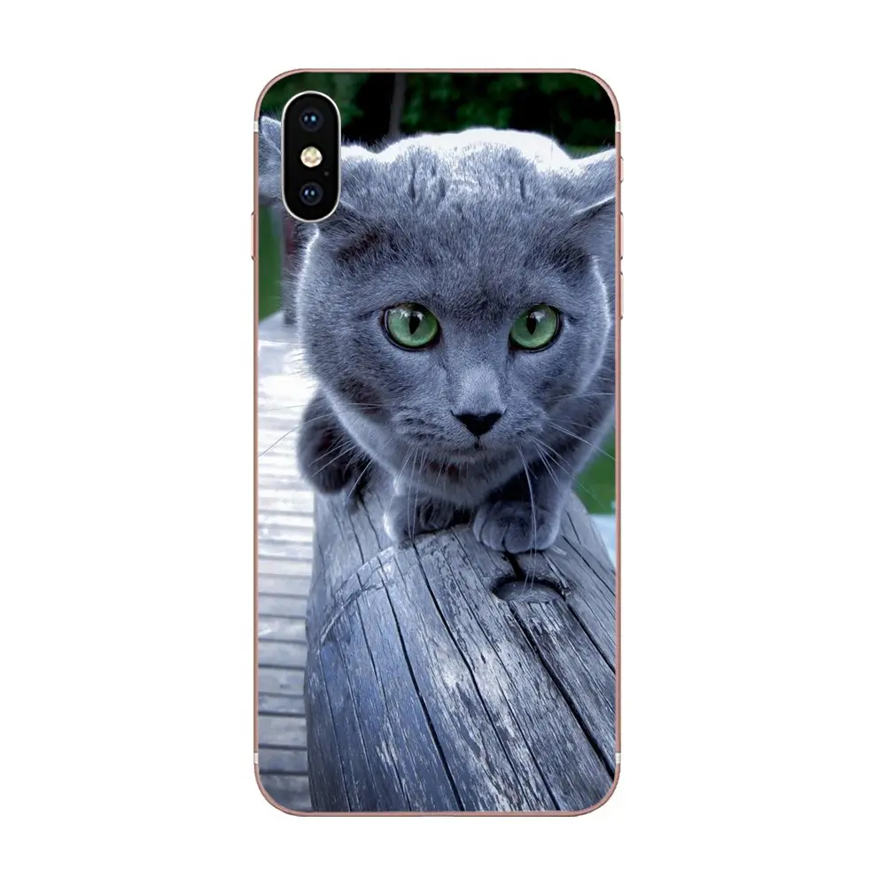 Домашние животные русские синие кошачьи зеленые глаза для Galaxy Alpha Note 10 Pro A10 A20 A20E A30