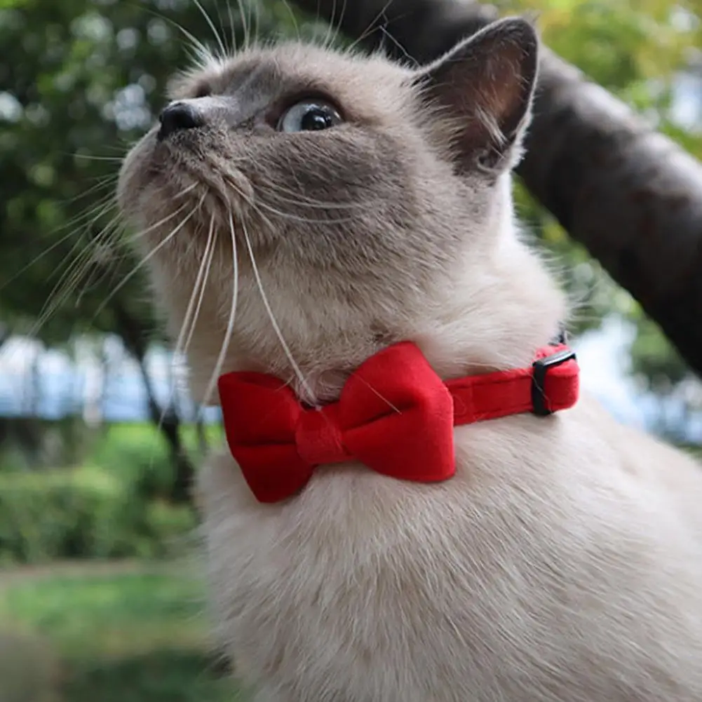 

Comfortable Necklace Skincare Flexible Multiple Colour Bowknot Design Pet Collar