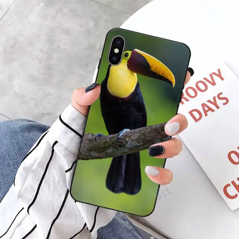

Keel-billed Toucan Phone Case for iPhone 11 12 mini pro XS MAX 8 7 6 6S Plus X 5S SE 2020 XR