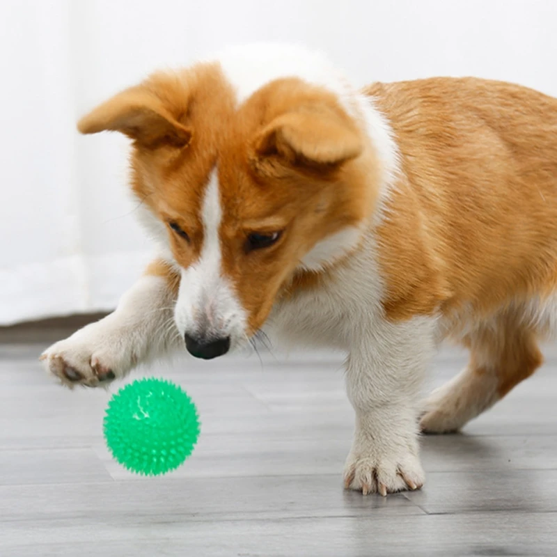 

Dog Snuffle Mat Interactive Cactus Chewing Toy Game Puzzle Nosework Dog Training Educational Ball Toys Relieve Stress Slow