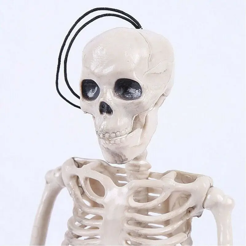 

Skeleton Human Halloween Skull Prop Decoration Plastic Haunted House Bones 40cm