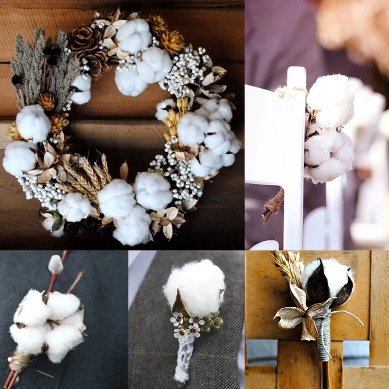 

5/10p 5cm Natural Dried Flowers Kapok White Cotton DIY Craft Wreath Gift Box Scrapbook for Wedding Party Home Decorations Flower