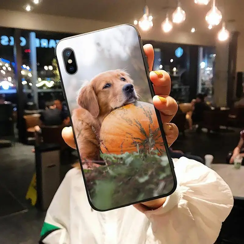 

Cute animal Golden retriever dog Phone Case for iPhone 11 12 mini pro XS MAX 8 7 6 6S Plus X 5S SE 2020 XR shell