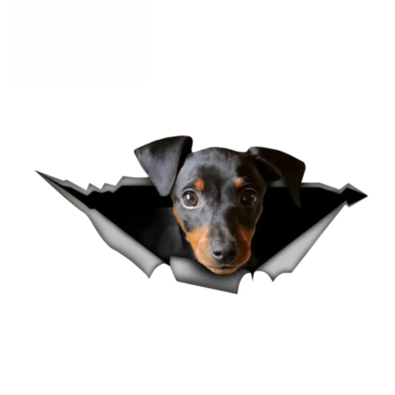 

Dawasaru 13cm X 6.2cm Pincher Sticker 3D Pet Graphic Vinyl Decal Car Window Laptop Bumper Animal Car Stickers