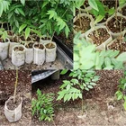 100 шт. биоразлагаемые мешки для выращивания растений, нетканые горшки для рассады, садовые мешки