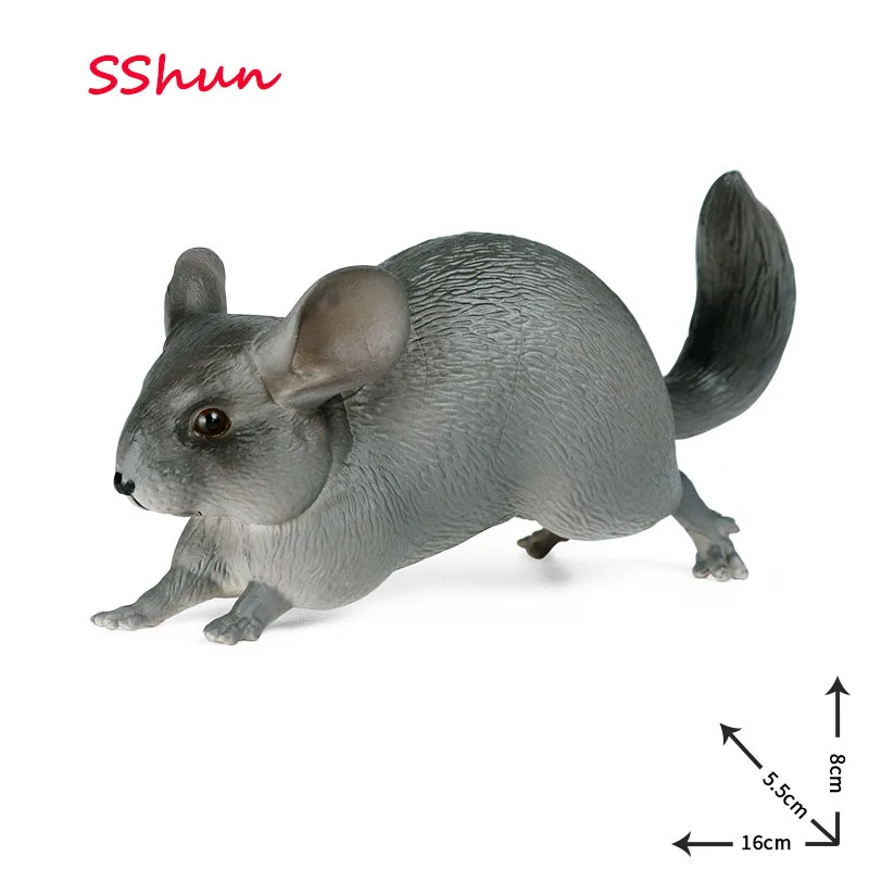 

16*5.5*8CM Simulation solid wild animal model children's science and education toy mouse large chinchilla chinchilla
