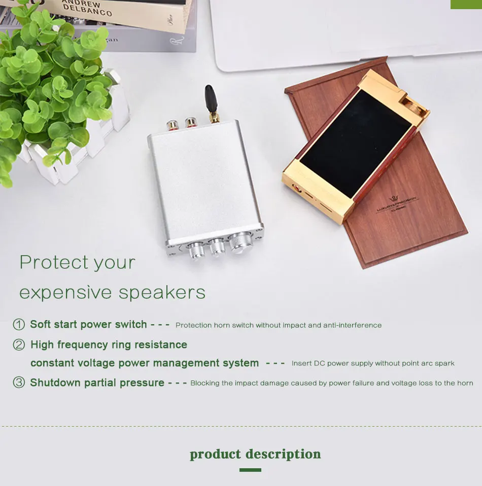 BORIZSONIC TPA3116 Bluetooth 5,0 HiFi усилитель мощности стерео домашний аудио цифровой усилитель с высокими басами