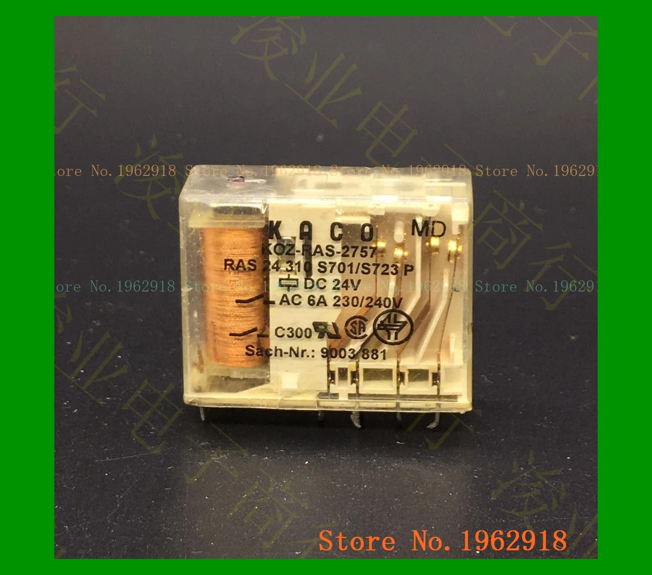 

KOZ-RAS-2757-DC24V RAS24310S701