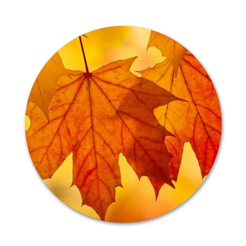 58mm Autumn fall Maple Leaves Kitchen Home Decor Refrigerator Magnetic Stickers Opener Beer Coke | Дом и сад